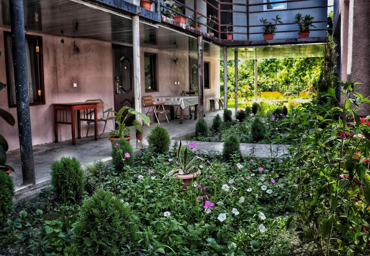 The Kiwi House Otel Lagodehi Dış mekan fotoğraf